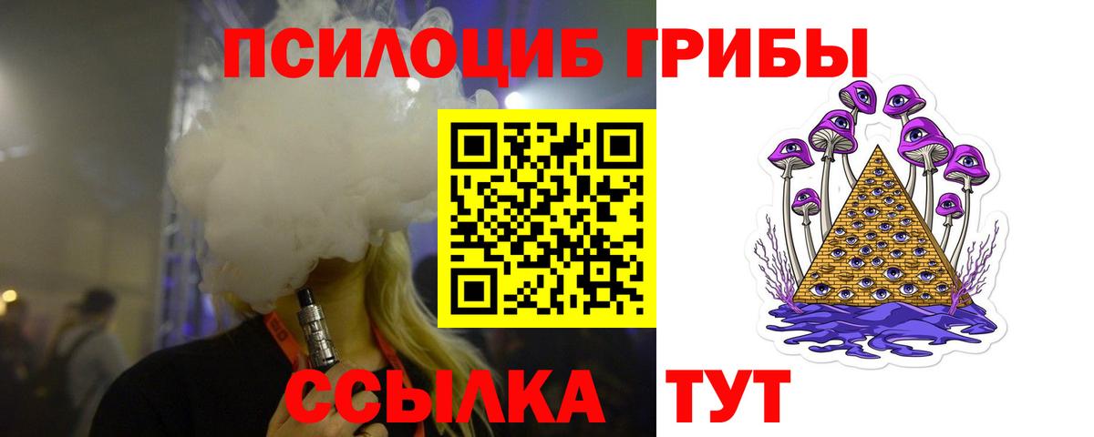 Волгодонск  Галлюциногенные грибы Cubensis  где купить наркоту  Вход с VPN 